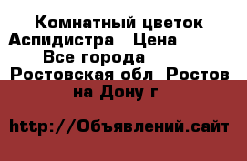 Комнатный цветок Аспидистра › Цена ­ 150 - Все города  »    . Ростовская обл.,Ростов-на-Дону г.